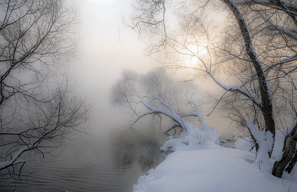 Фотография автора Анатолий Зверев