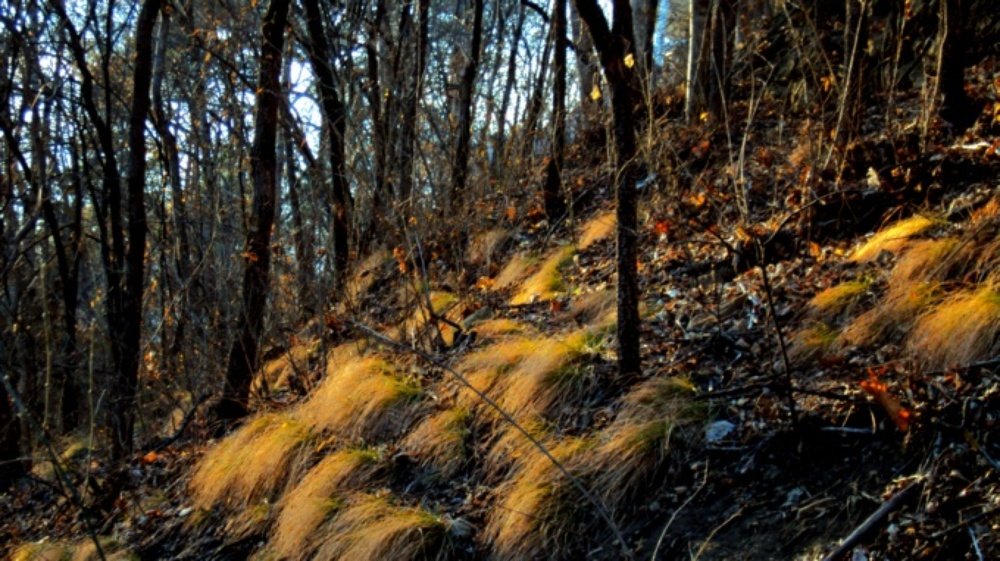 Photograph by Евгений Бригиневич - Снежин