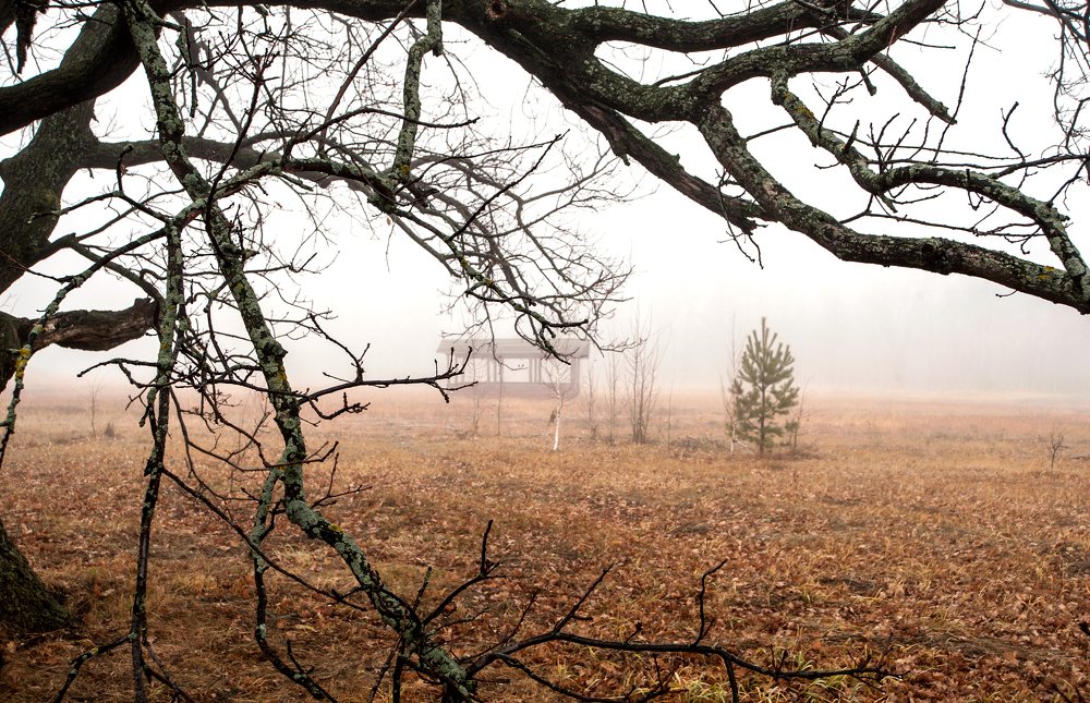 Photograph by Виталий Слёзка