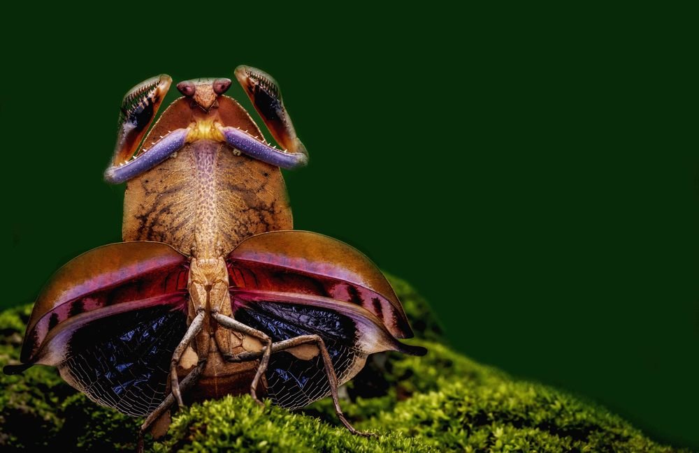 Photograph by Cindy Quek