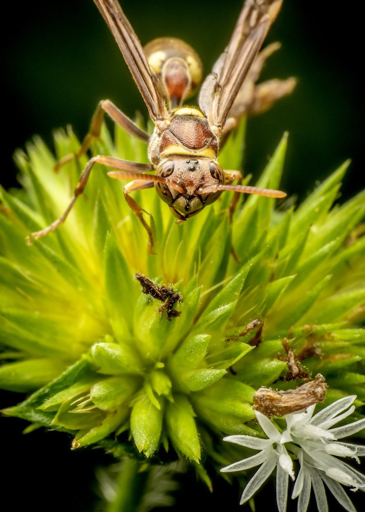 Photograph by Cindy Quek