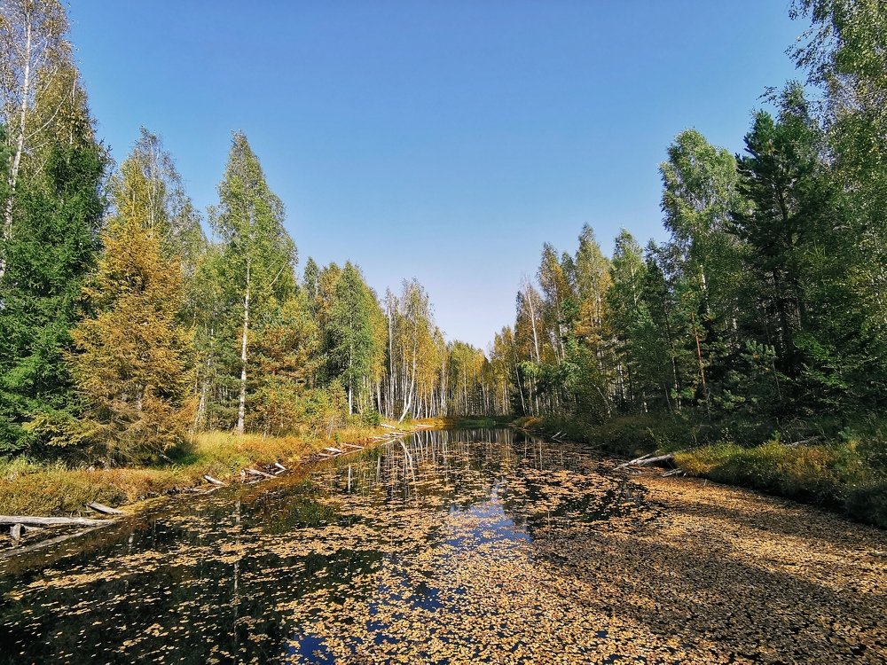 Фотография автора Игорь Шамшур