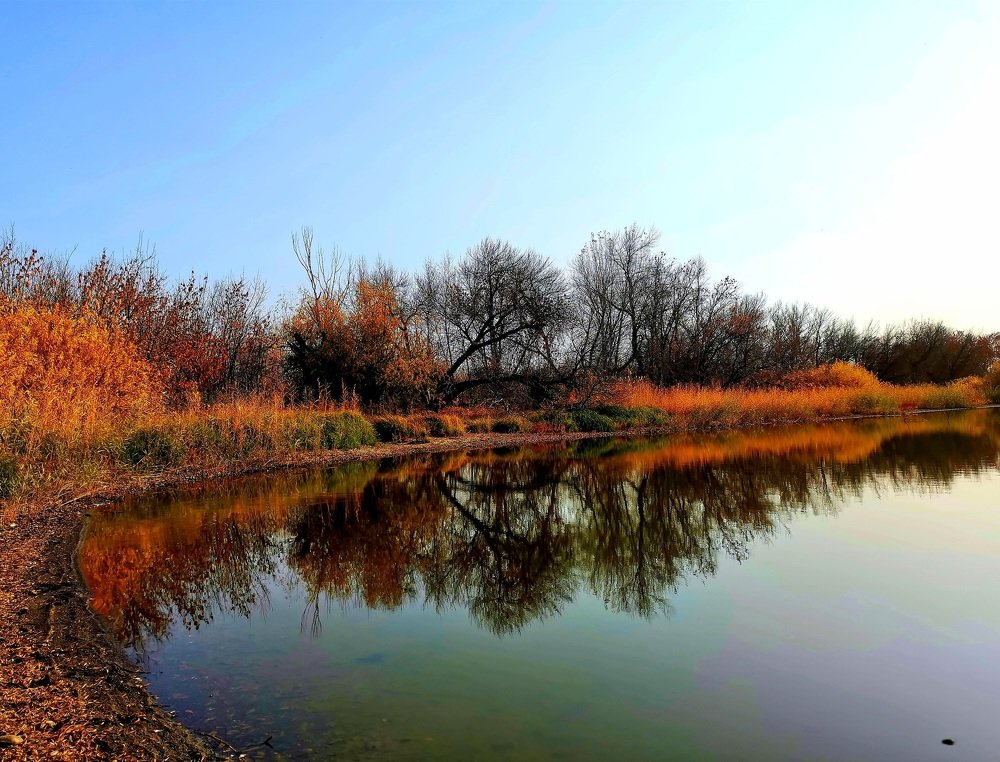 Рыжая Осень