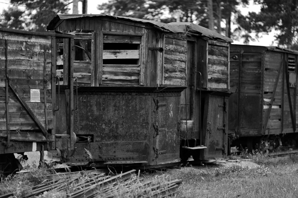 Photograph by Константин Лагоденко