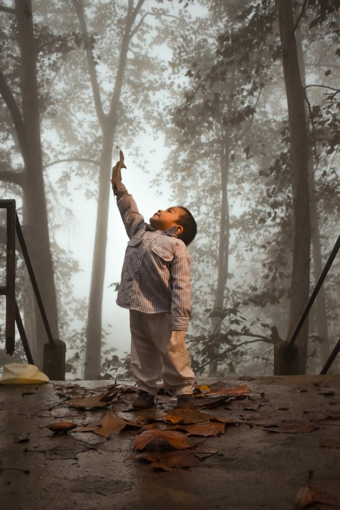 Freedom in nature
