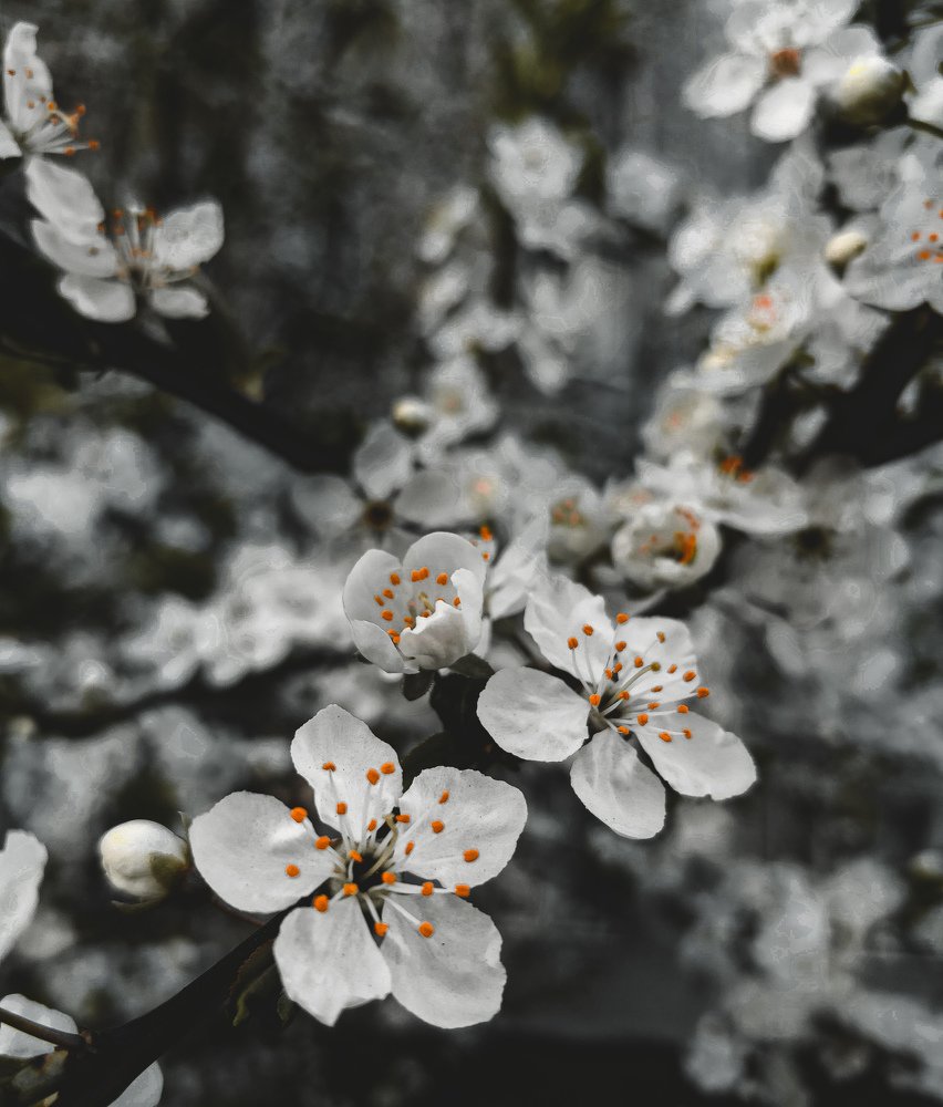 Photograph by Арина Войноровская