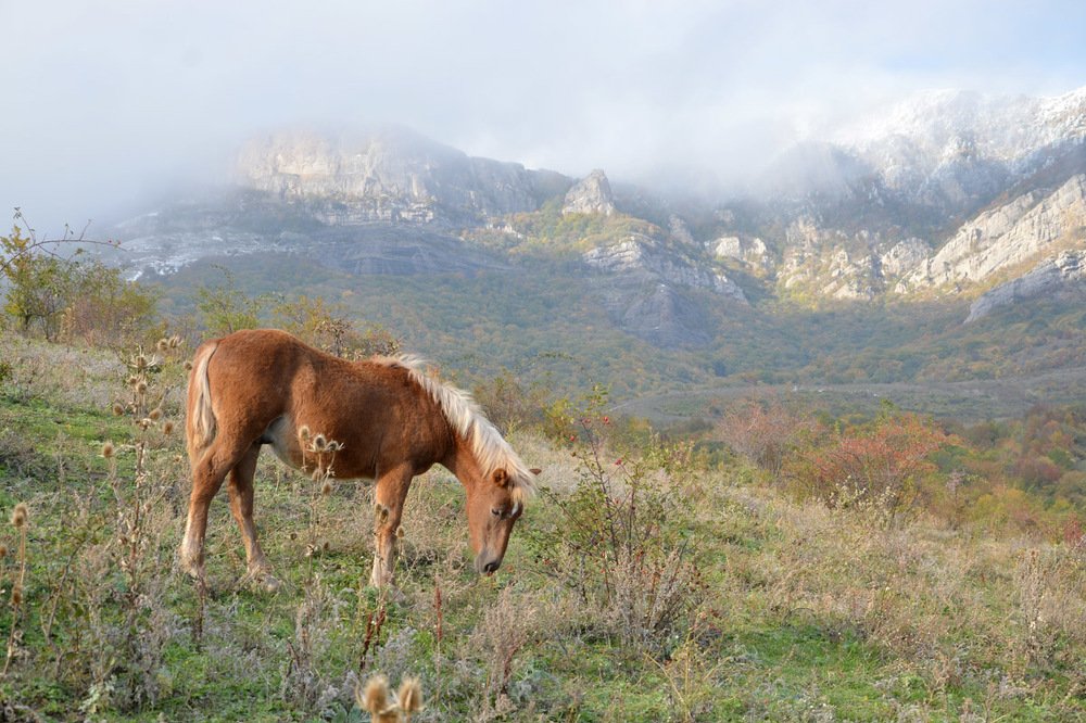 Photograph by Николай Кувшинов