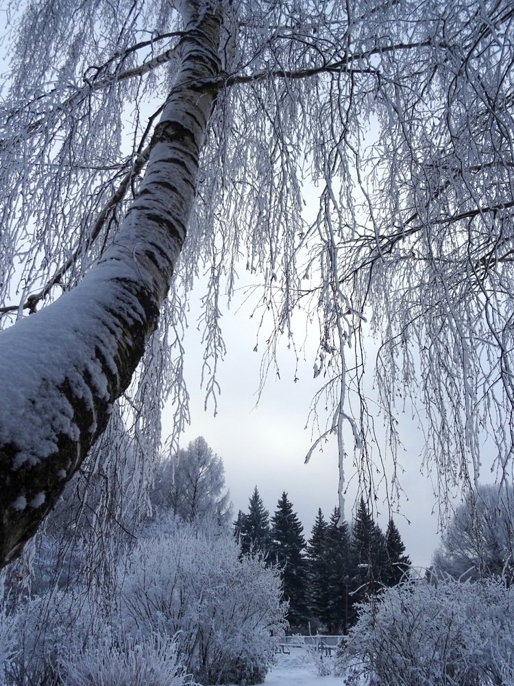 Photograph by Любовь Кочуганова