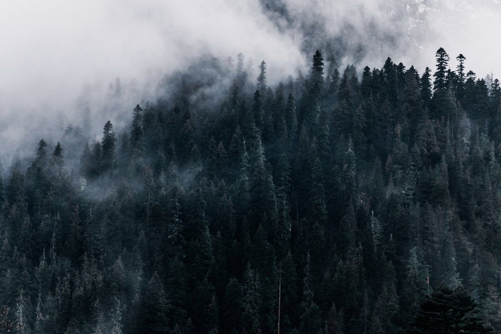 Photograph by Станислав Гусев