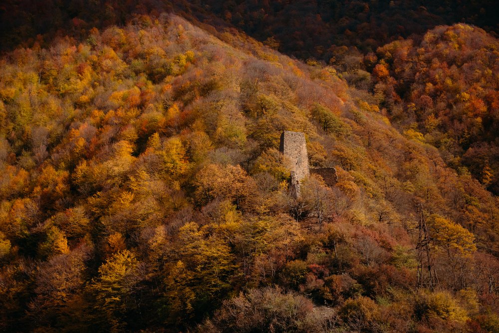 Осень в Грузии