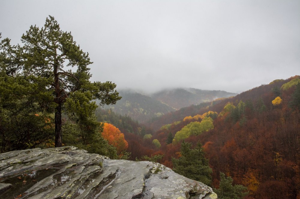 Photograph by  Dimitar