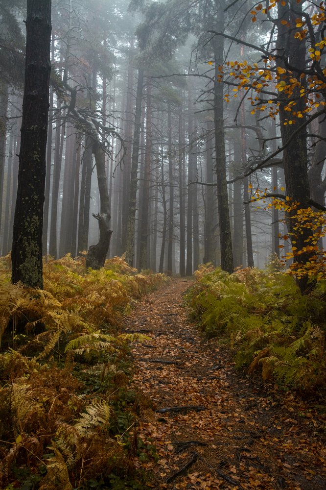 Photograph by  Dimitar