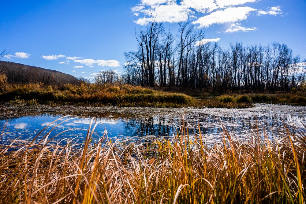 Photograph by Анна Силютина