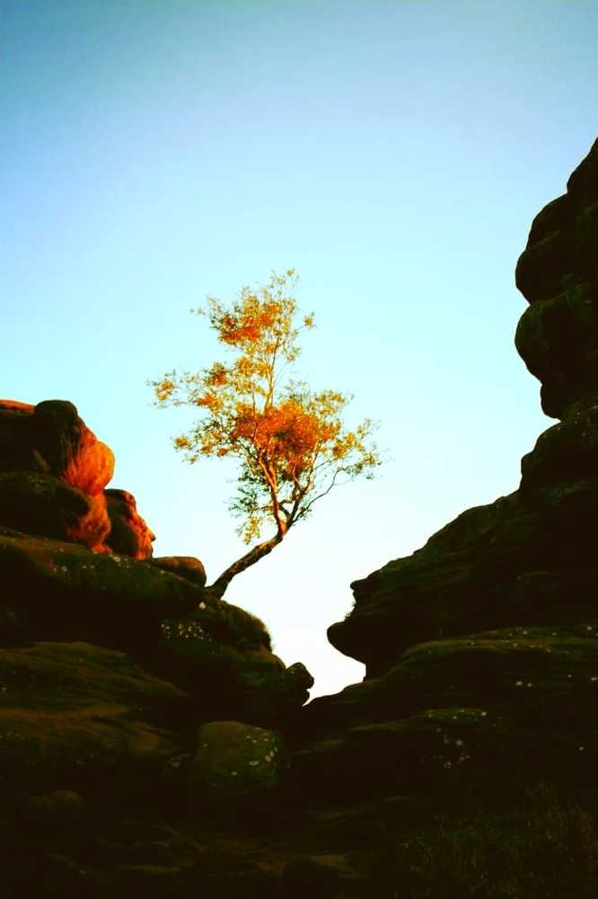 Иероглиф осени