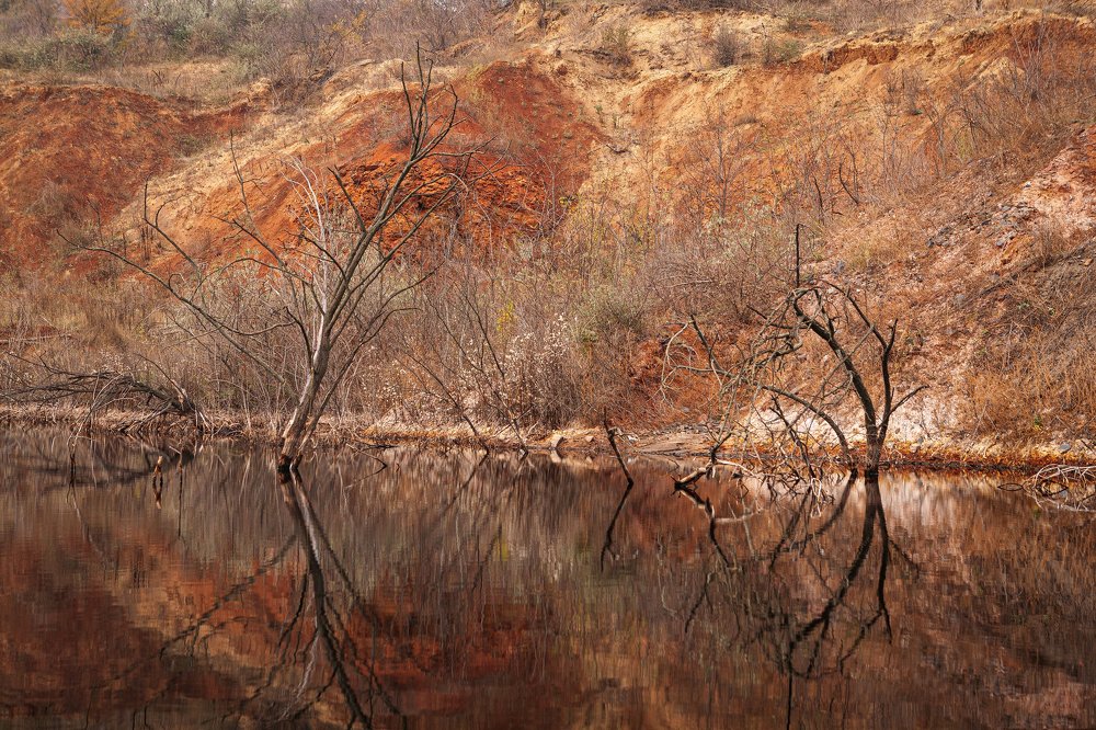 Поздняя осень на черном озере