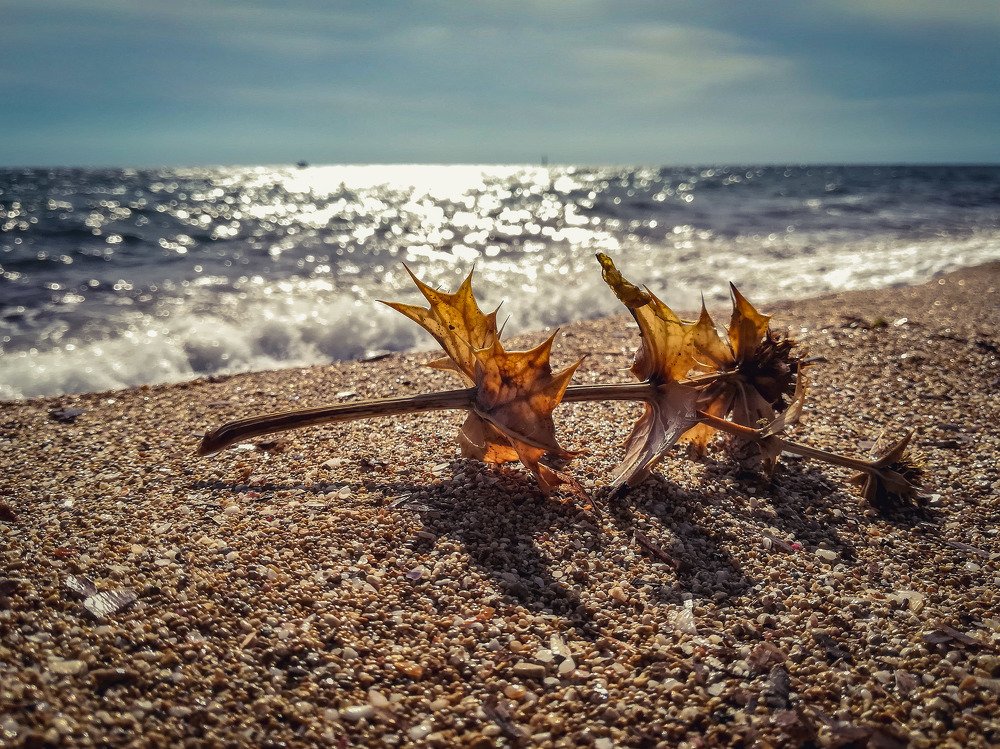 Photo #5367080