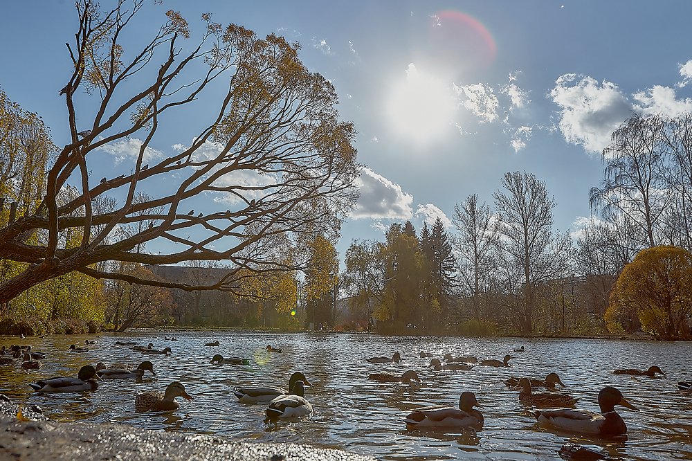 Photograph by Елена Мормоль