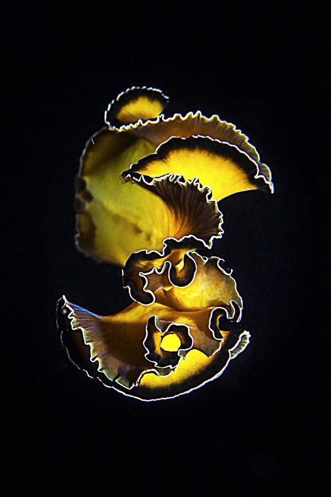 Photograph by Deniz muzaffer Gokmen