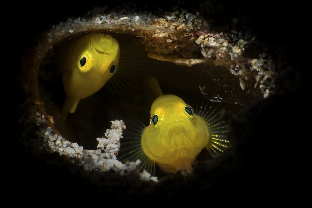 Photograph by Deniz muzaffer Gokmen