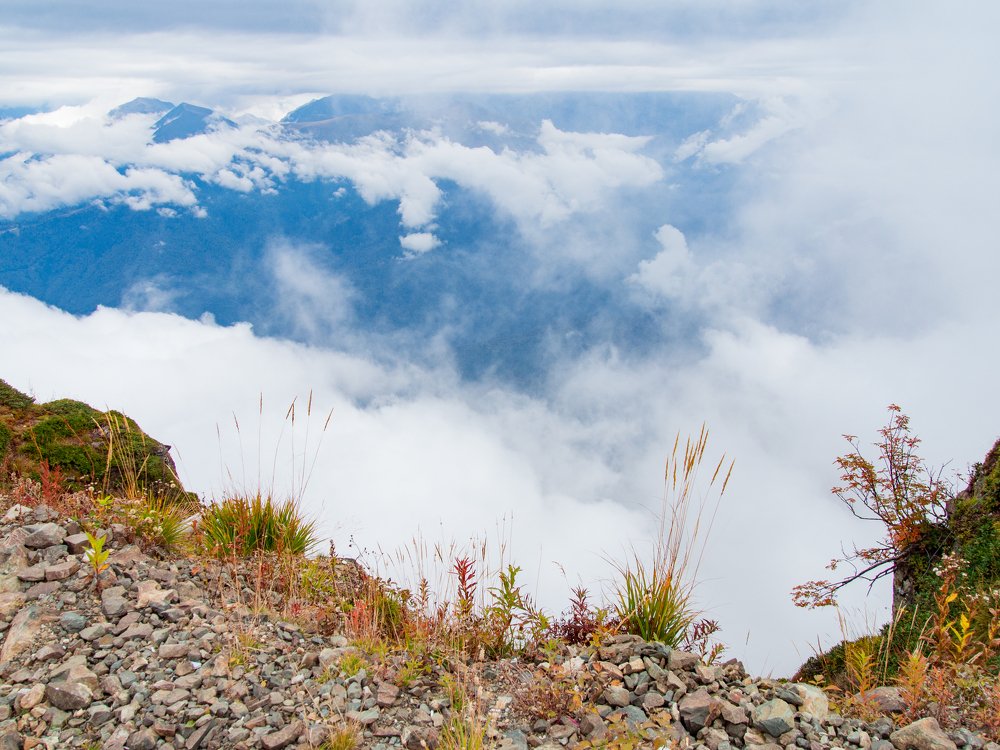 Photograph by Анна Бокарёва