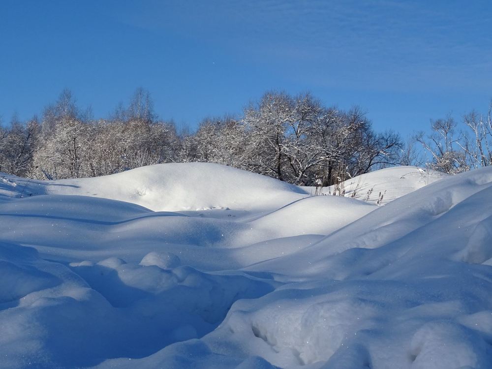 Photograph by Любовь Кочуганова