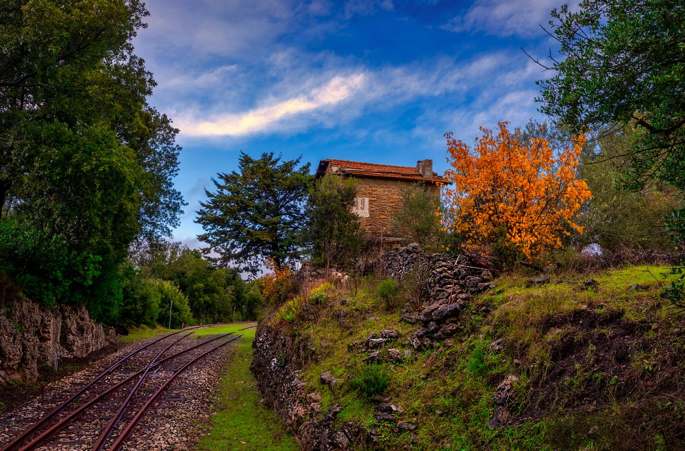 Photograph by Marco Dajethy