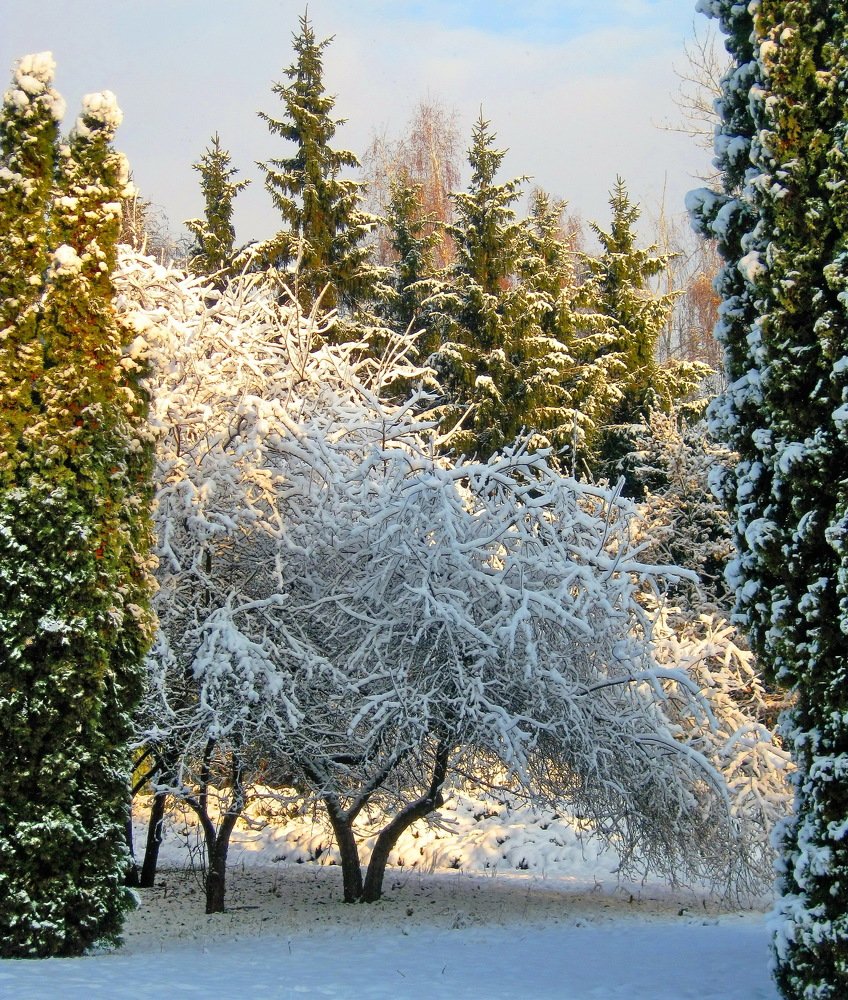 Photograph by Владимир Подкуйко