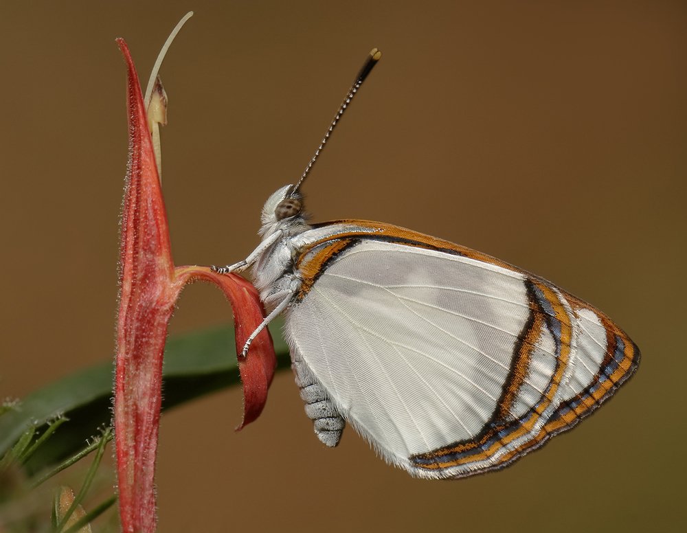 Photograph by Eduardo Di Fiore
