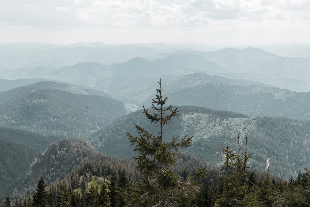 Photograph by Nagy Csaba