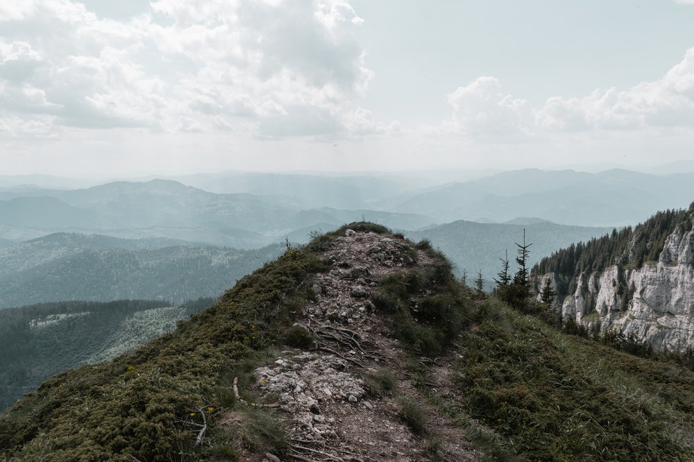 Photograph by Nagy Csaba