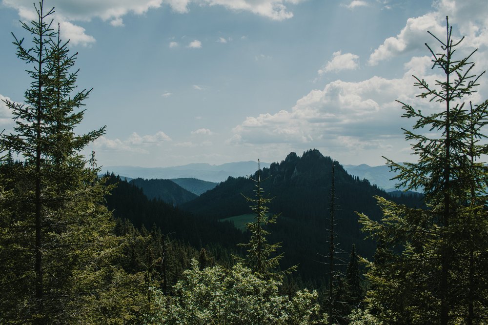 Photograph by Nagy Csaba