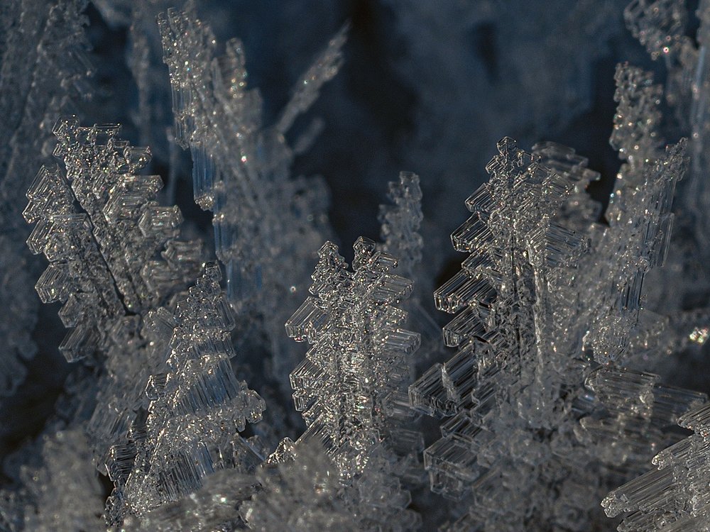 Photograph by Сергей Духанин