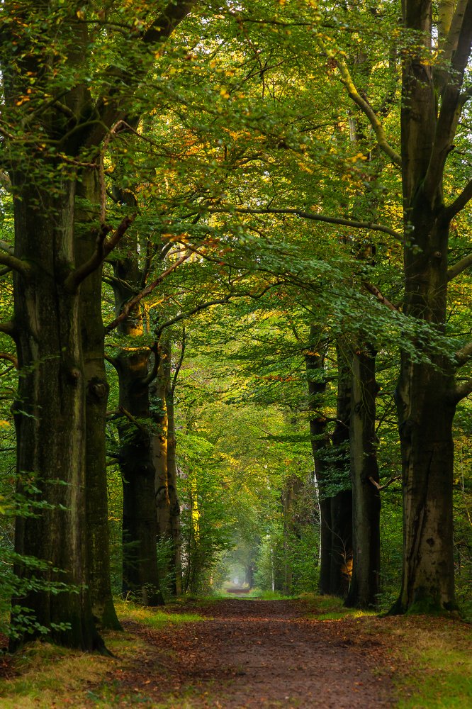 Photograph by Aleksei Kazakov