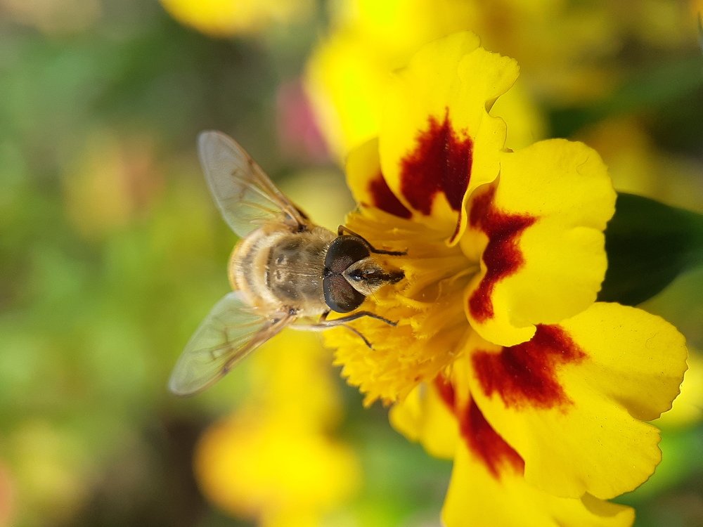 Photograph by Inessa Botasheva