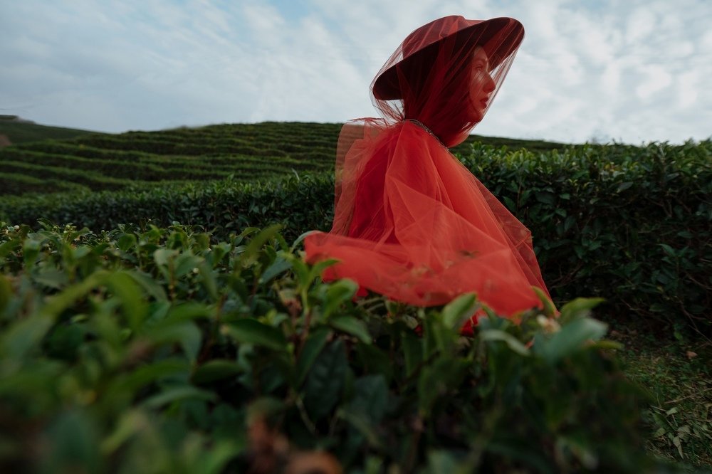 Photograph by Коростелева Варя