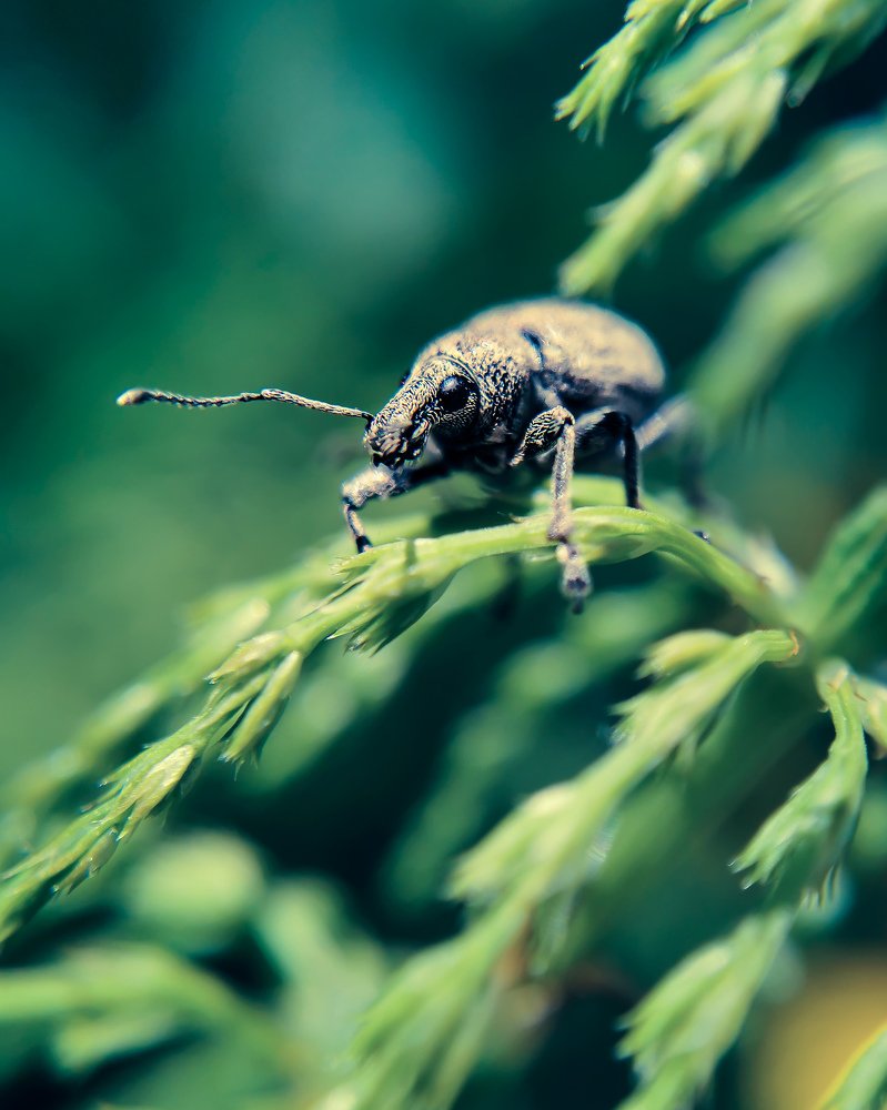 Фотография автора Наталья