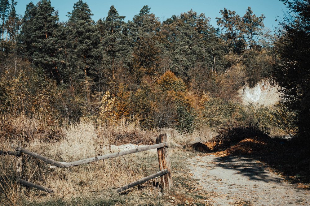 Photograph by Nagy Csaba