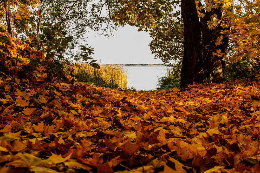 Photograph by Васенин Павел
