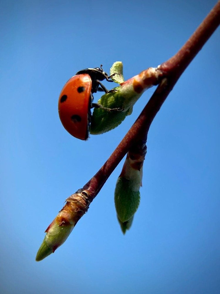 Photograph by Александр Арасланов