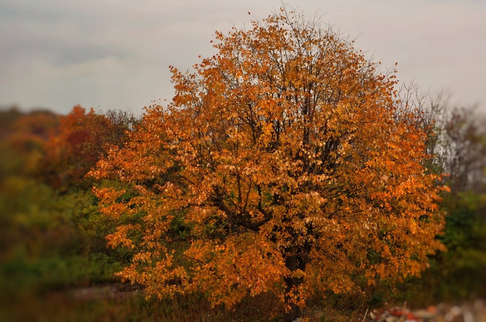 Photograph by Stoyan Baev