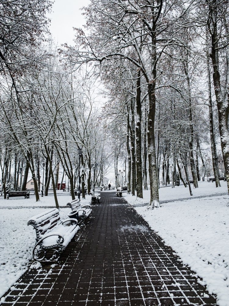 Photograph by Ирина Семёнова