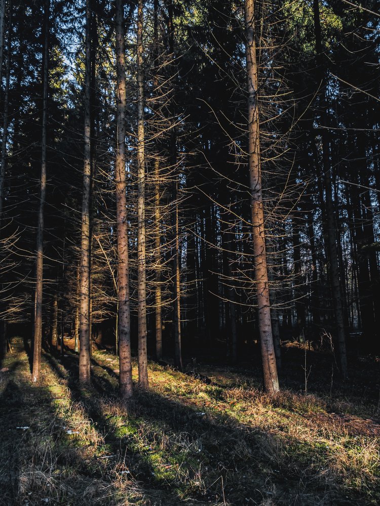 Photograph by Ирина Семёнова