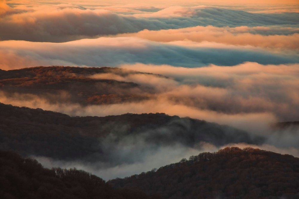 Photograph by Никита