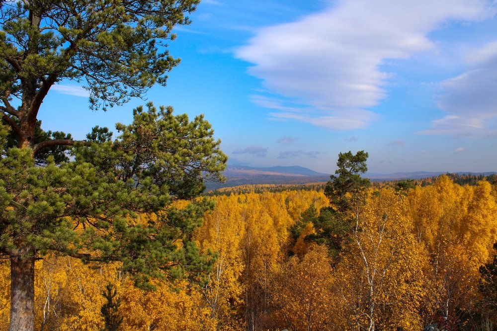 Photograph by Елена Водолеева