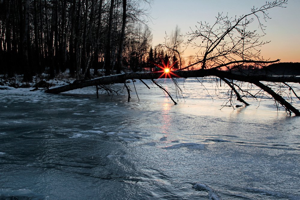Photograph by Алексей