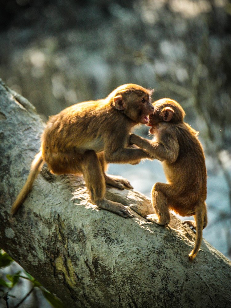 We all have secrets to share