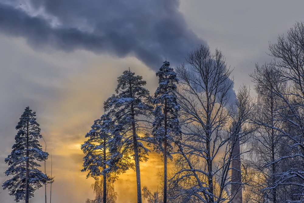 Photograph by Анна Кривицкая