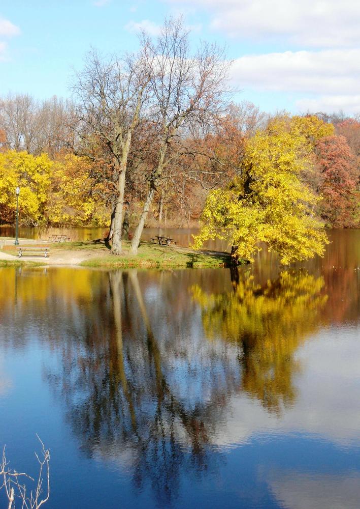 A cold morning on James Haddon Park