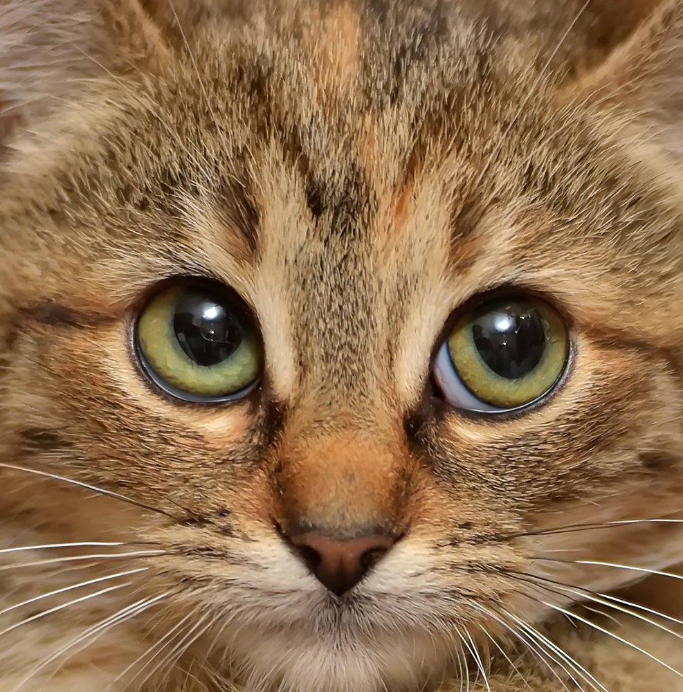 Photograph by Анна Кривицкая