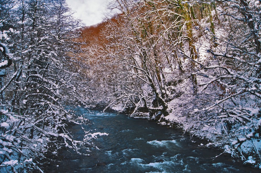 Photograph by Виталий Бараковский